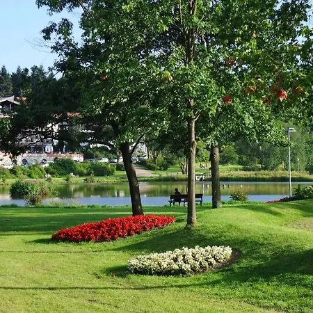 Premiumferienwohnung-koehnke-1 Apartment Goslar
